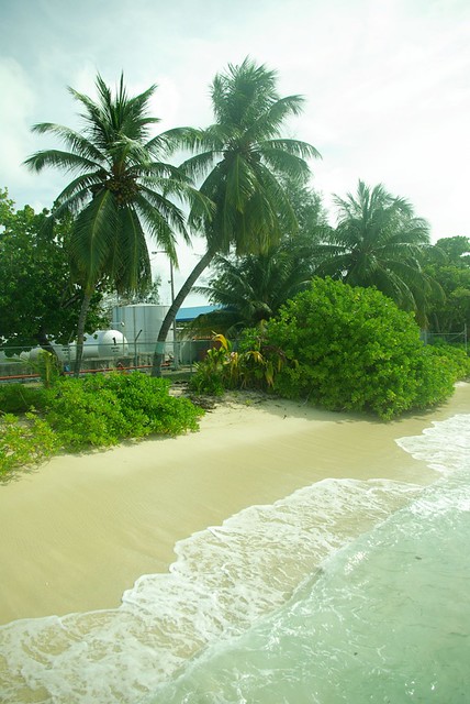 Maldive Island
