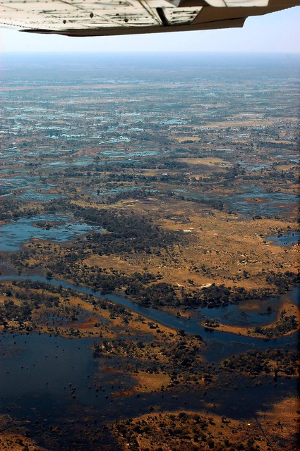 Botswana Okavango Delta D40_6786