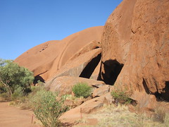 Uluru and around 21