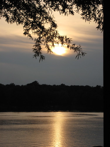 sunset sun lake tree sc laurenssc lakegreenwood