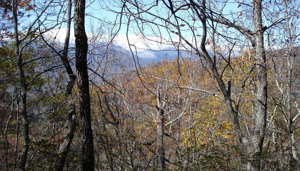 Armstrong Creek Trail