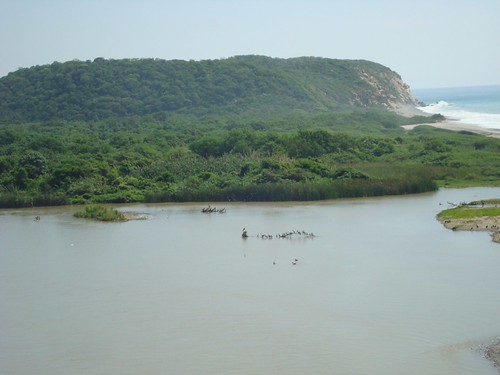 Birdwatching in Huatulco | by monamerique