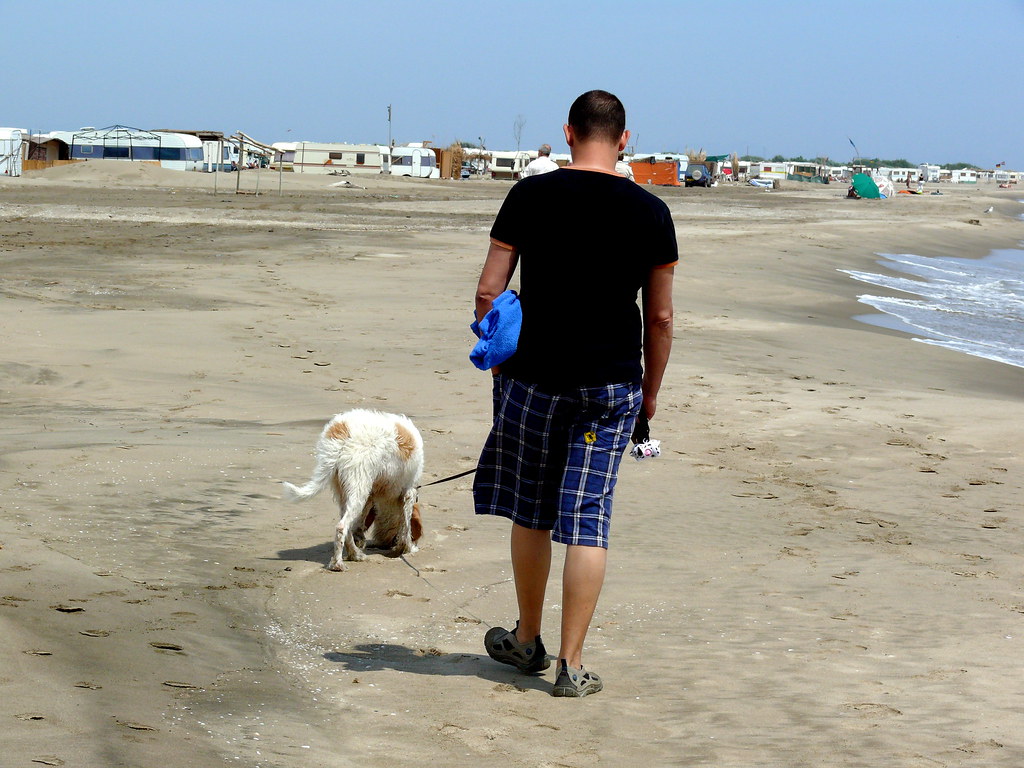 Camargue plage du Piemanson