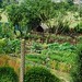 Vegetable Garden along the path to Giverny