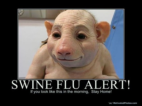 swine flu alert from gwena | by johnalanhall