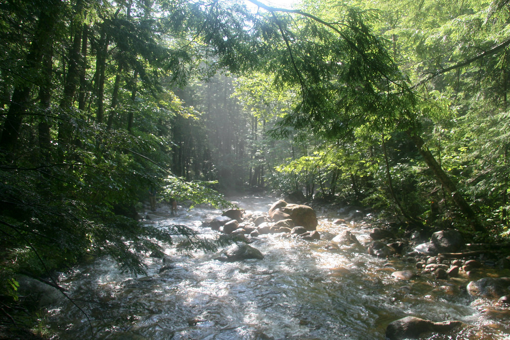 Signal Ridge Trail