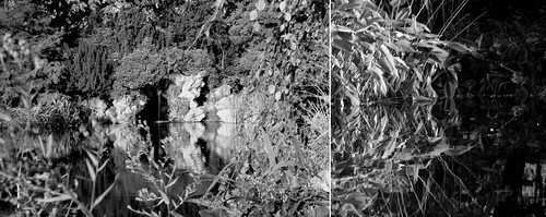 éléments eau, terre by emmanuelle gabory