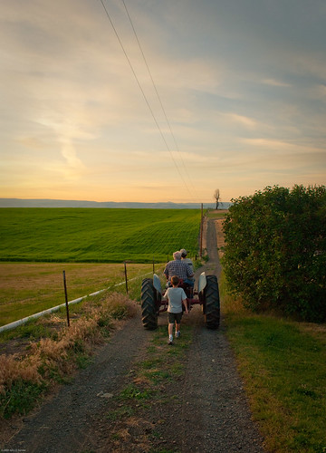 road sunset summer sun tractor field kids john children landscape dusk farm farming grain agriculture demke