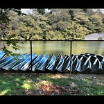 Les Barques de Central Park