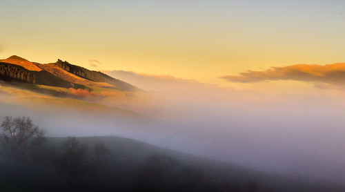 hastings havelocknorth hawkesbay hills landscape largelandscape mist morning nature newzealand northisland nz