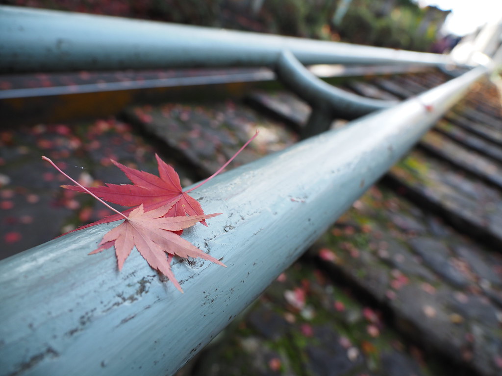 EM160138 | OLYMPUS DIGITAL CAMERA | torunara photo | Flickr