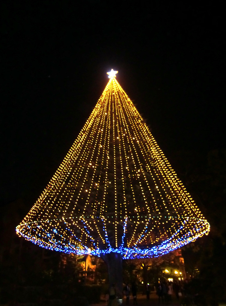 Christmas Tree. | Silent Night, Holy Night. | sky_ctg | Flickr