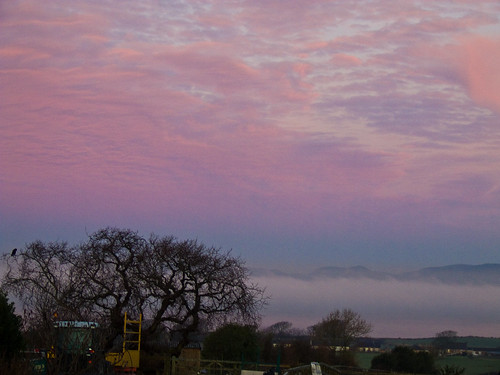 morning pink trees sky misty sunrise dawn solway