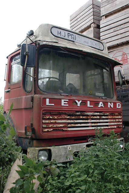 Leyland Bison