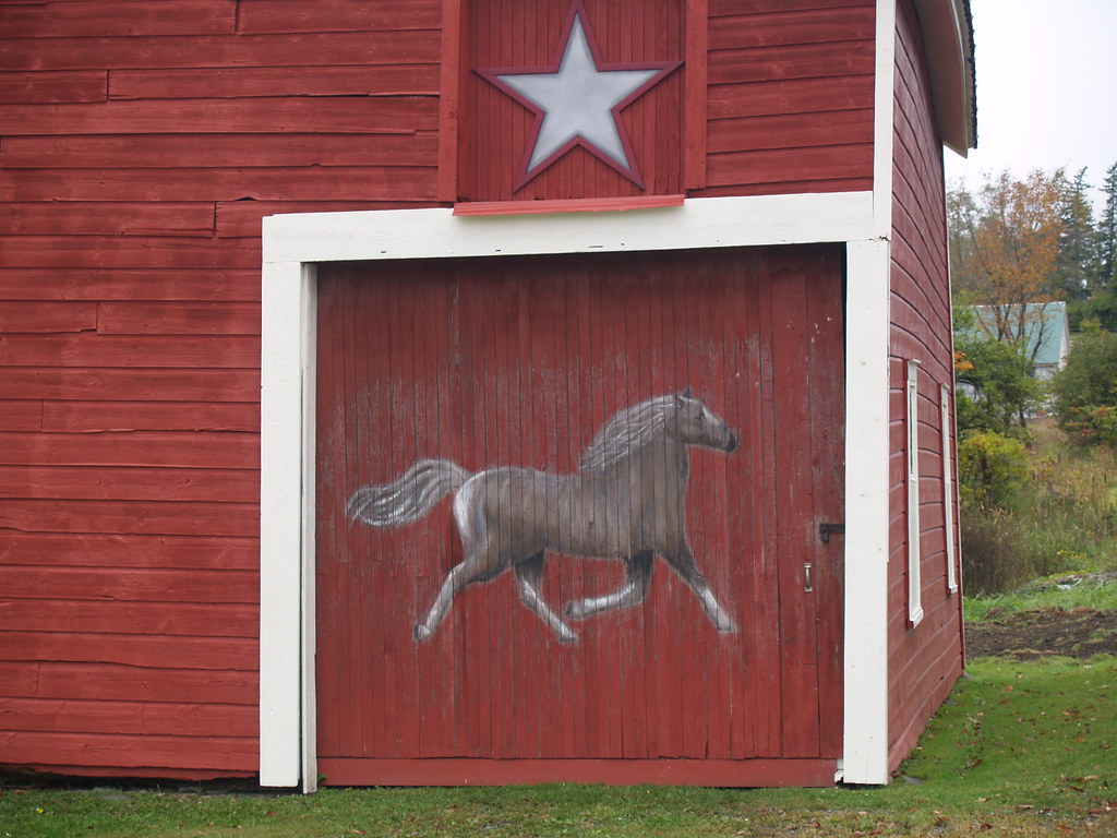 Red barn with a horse painting | Marilyn Conlon | Flickr