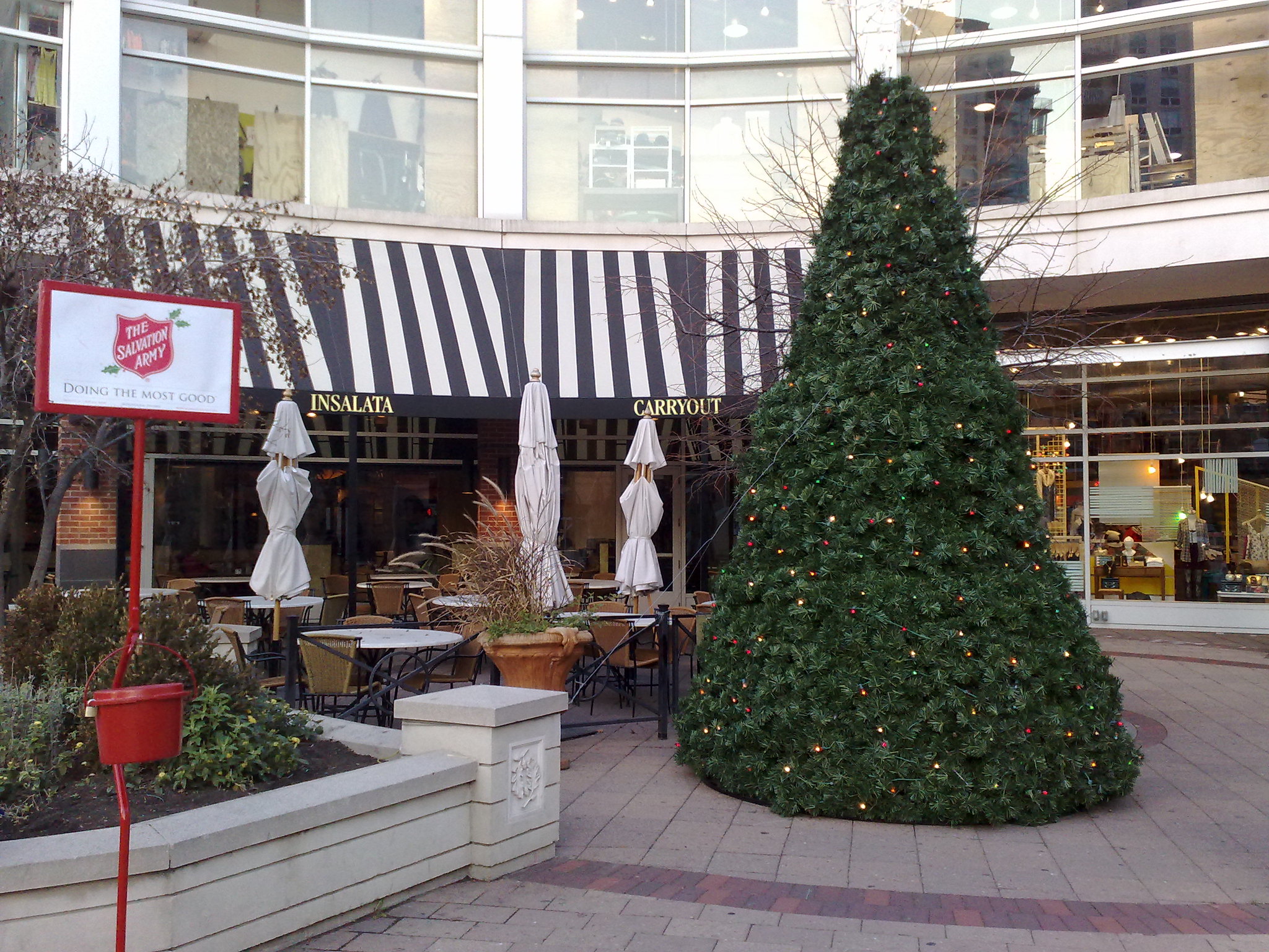 Maple Avenue Christmas tree