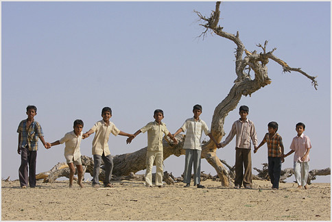 unite 'n rule, thar desert