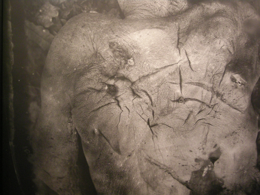 Piece of Mann | Details of Sally Mann's 
