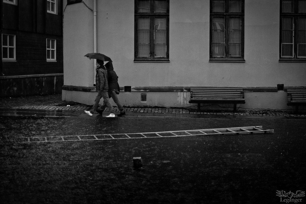 Rain, Umbrella, Ladder by Lars Leganger