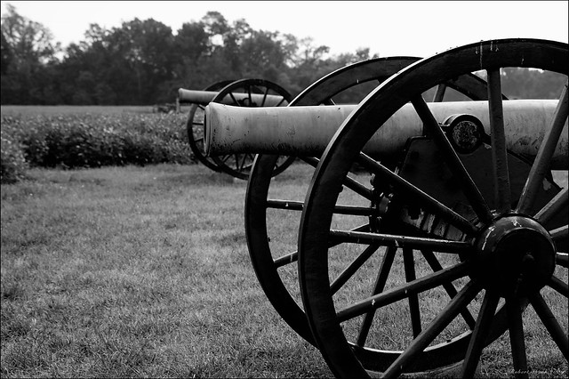 Cannon of Malvern Hill  #2