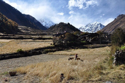 travel nepal mountains field work trek nikon valley circuit d90 manaslu 18105vr