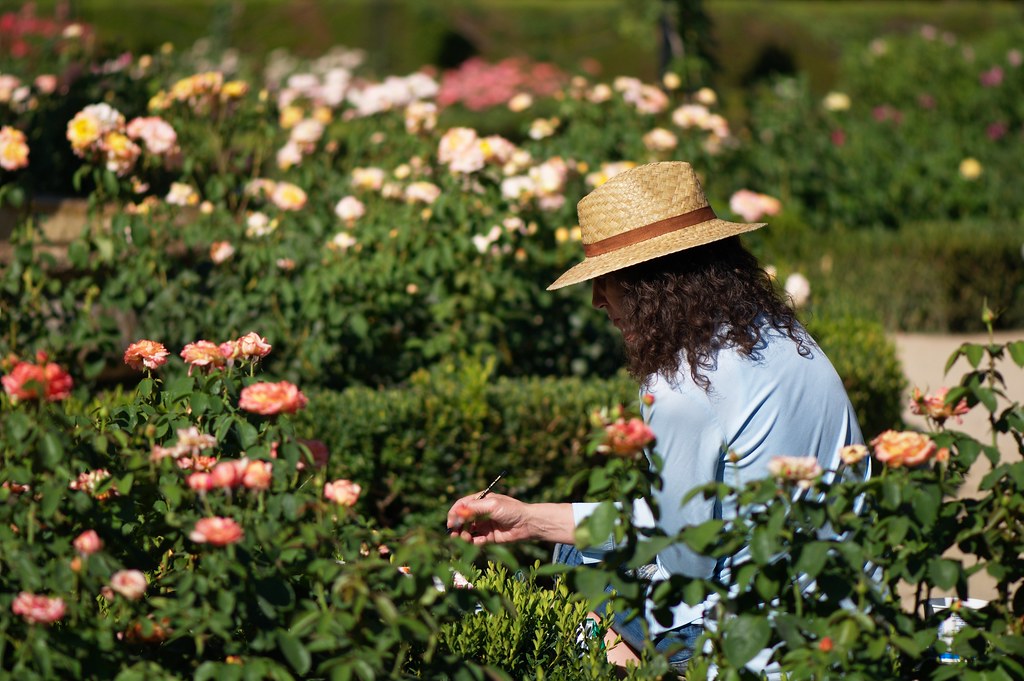 Flores Con Encanto