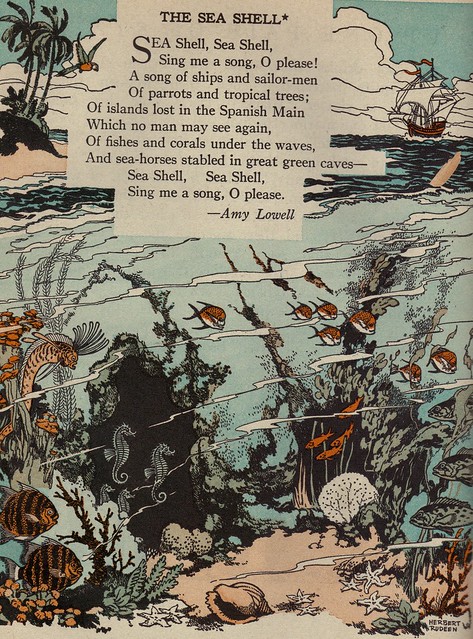 The Sea Shell Illustrated by Herbert Rudeen