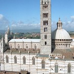 D17 Siena Duomo