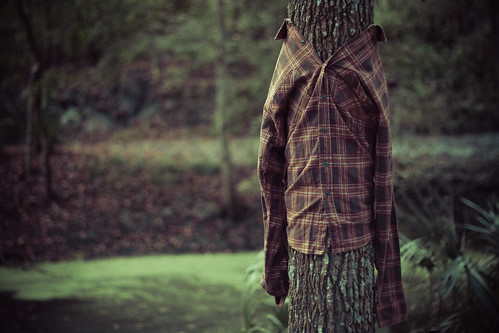 Flannel for trees by Colin H.