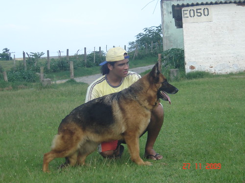 Guimba da Casa Chaplin | by casa_chaplin