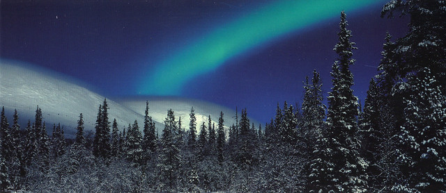 Finnish Northern Lights Postcard
