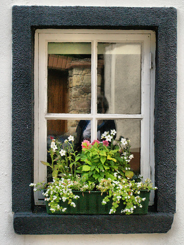 ireland window frame inistioge flowerbox ©denap