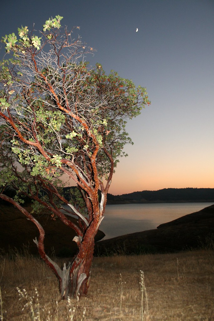 Kingsnake Loop Trail