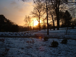 Botanical Gardens - Sunset and Snow (January 2005)