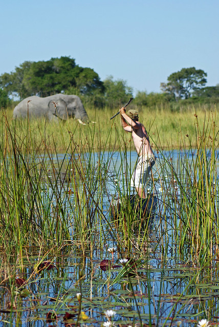 Okovango Delta - Elephant Hunting!