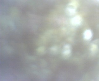 05Oct09006 | by swanfleet
