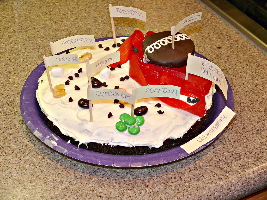 Sweet Cellular Model | Mara made an animal cell... cake. Yum… |  dsleeter_2000 | Flickr
