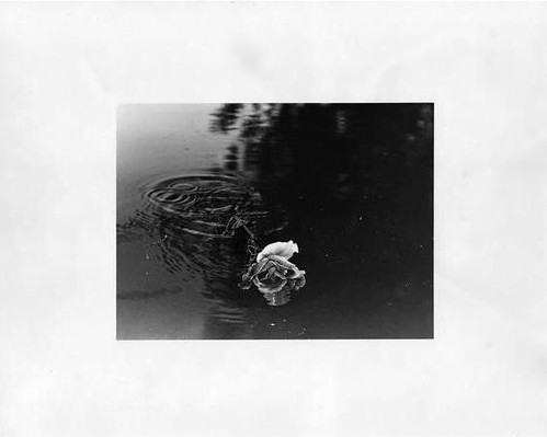 Untitled | by starzgaze
