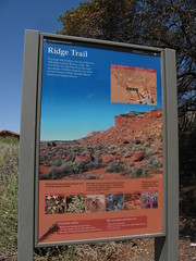 Pipe Springs National Monument, Arizona (21)