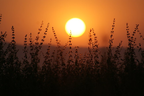 sunset by kalpakrg, sunset badlapur