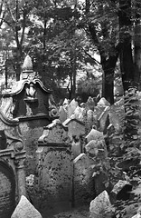 25 Jewish cemetery, Prague