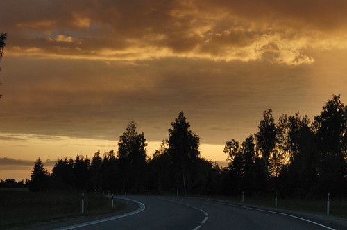 Going Home for a Weekend by tarmo888, tree beautiful europe estonia sundown puu casioexilim eesti estland 攝影 loojang sunsetporn photoimage
