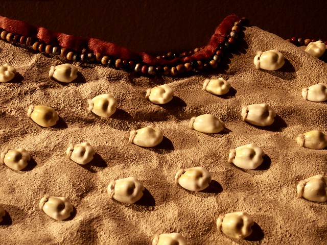 Lakȟóta bead & shellwork