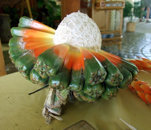 Fruit of the Hala or Puhala Tree seed pod | by colleeninhawaii