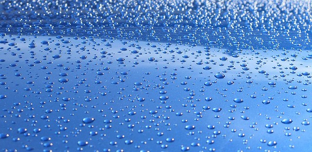 Rain droplets on the just been waxed Skoda Octavia vRS