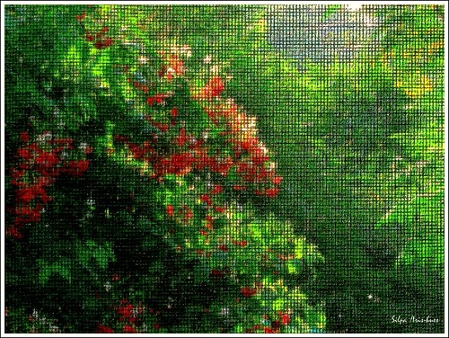 It glows a bright green, pink and red... by ~Dr.Silpa S GLH~