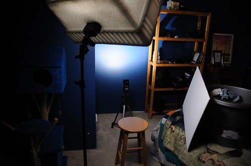 Day 16/365 setup | by Murray McMaster