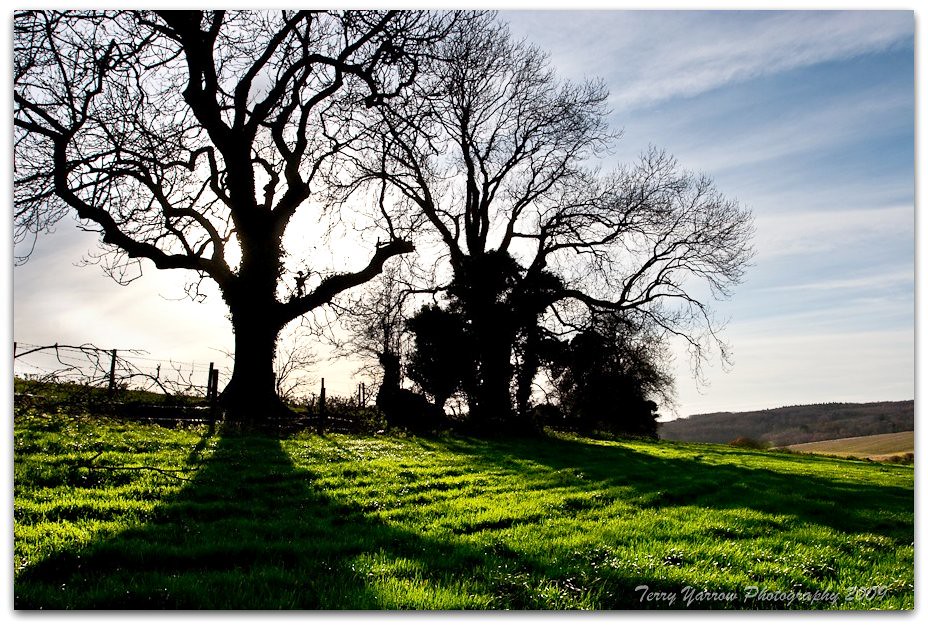 Shadows and silhouettes on Cranborne Chase by TDR Photographic