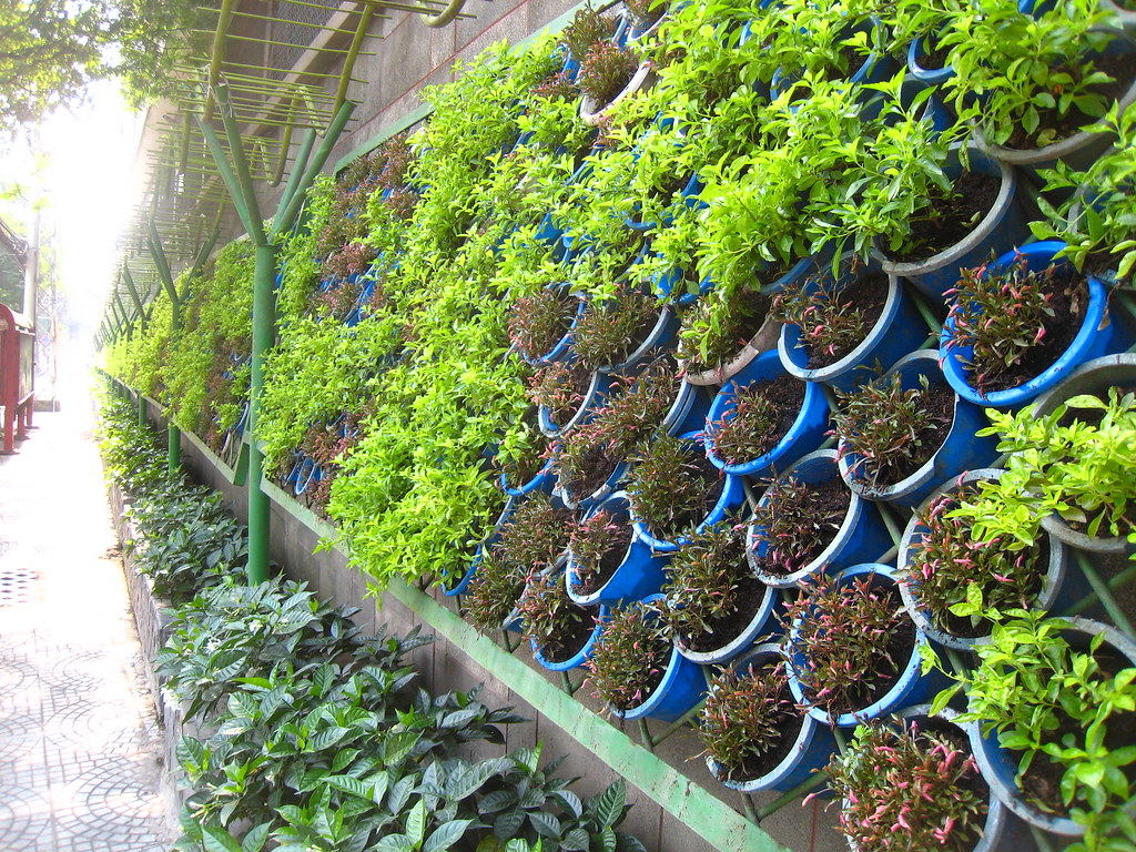 vertical planter wall - it stretched the whole block - in Ho Chi Minh (Saigon) Vietnam