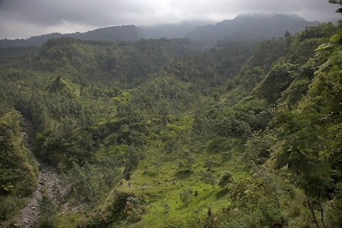 On the slopes of Mount Merapi by jmhullot, indonesia java raw